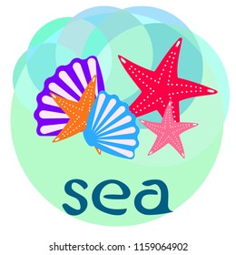 starfish shell sea vector background