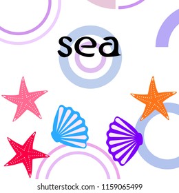 starfish shell sea vector background
