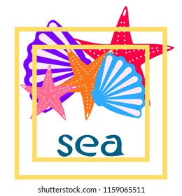 starfish shell sea vector background