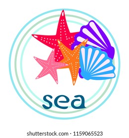 starfish shell sea vector background