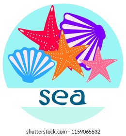 starfish shell sea vector background