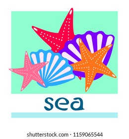 starfish shell sea vector background