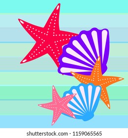 starfish shell sea vector background