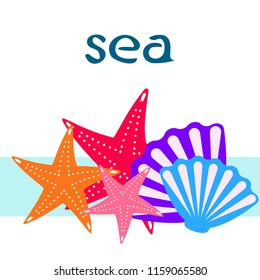 starfish shell sea vector background