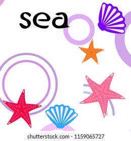 starfish shell sea vector background