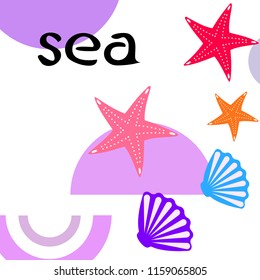starfish shell sea vector background