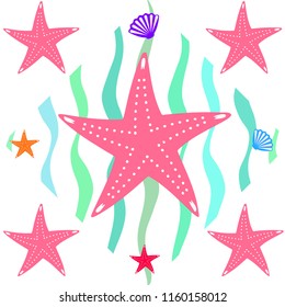 starfish shell sea vector background
