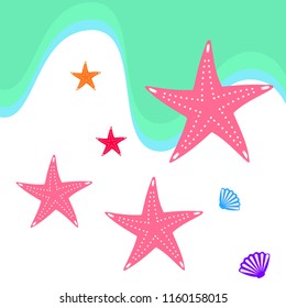 starfish shell sea vector background