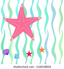 starfish shell sea vector background