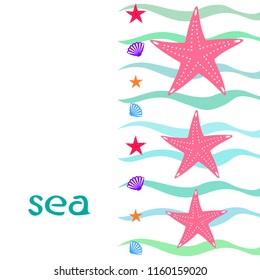 starfish shell sea vector background