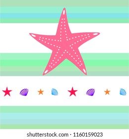 starfish shell sea vector background