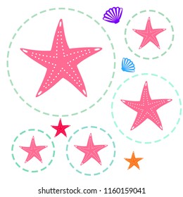 starfish shell sea vector background