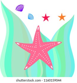 starfish shell sea vector background