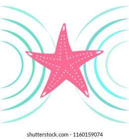 starfish shell sea vector background