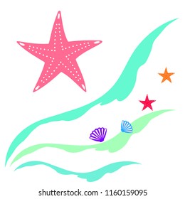 starfish shell sea vector background