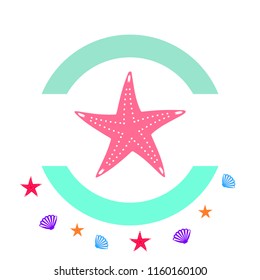 starfish shell sea vector background