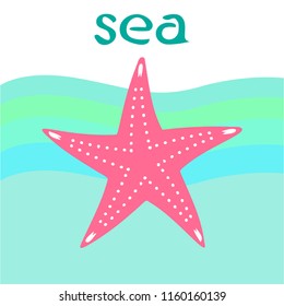 starfish shell sea vector background