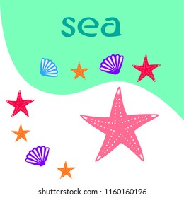 starfish shell sea vector background