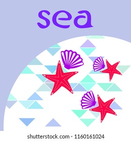 starfish shell sea vector background