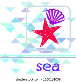 starfish shell sea vector background