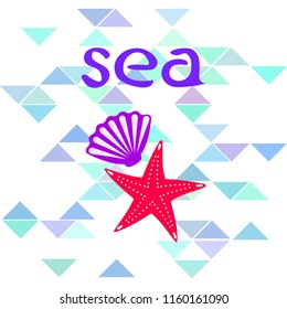 starfish shell sea vector background