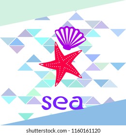 starfish shell sea vector background