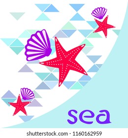 starfish shell sea vector background