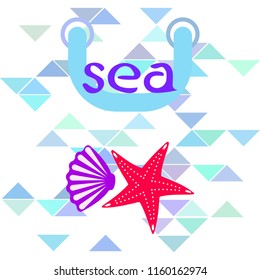 starfish shell sea vector background