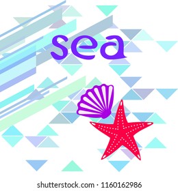 starfish shell sea vector background