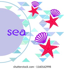 starfish shell sea vector background
