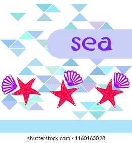 starfish shell sea vector background