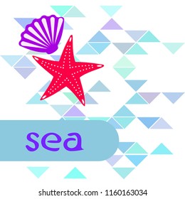 starfish shell sea vector background