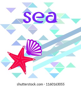 starfish shell sea vector background
