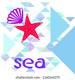 starfish shell sea vector background