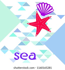 starfish shell sea vector background