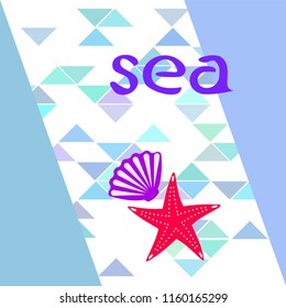 starfish shell sea vector background