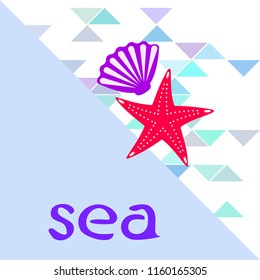 starfish shell sea vector background