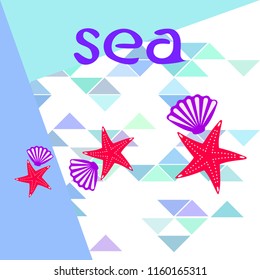 starfish shell sea vector background