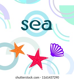 starfish shell sea vector background