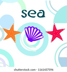starfish shell sea vector background