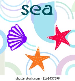 starfish shell sea vector background