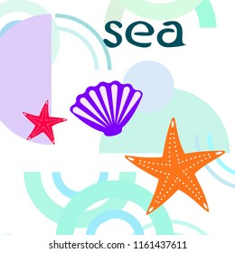 starfish shell sea vector background