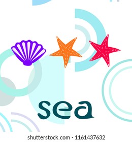 starfish shell sea vector background