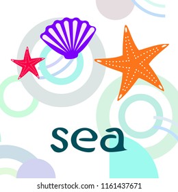 starfish shell sea vector background