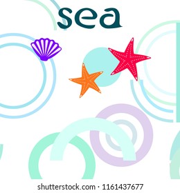 starfish shell sea vector background