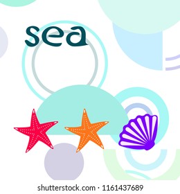 starfish shell sea vector background