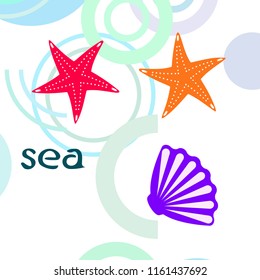 starfish shell sea vector background