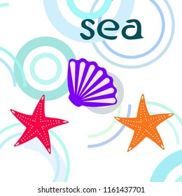 starfish shell sea vector background