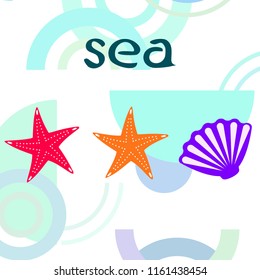starfish shell sea vector background