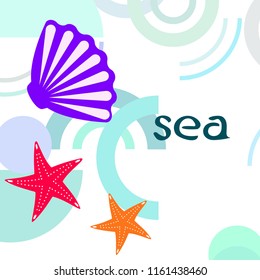 starfish shell sea vector background